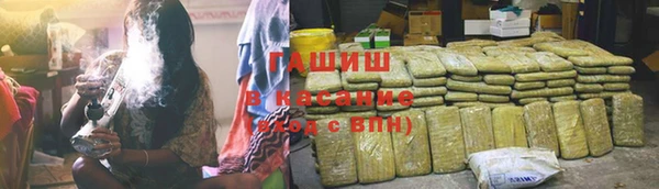 PSILOCYBIN Аркадак