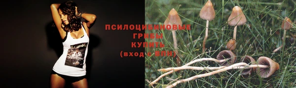 apvp Армянск