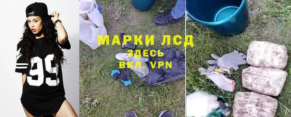 PSILOCYBIN Аркадак
