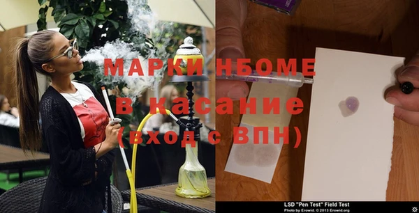 PSILOCYBIN Аркадак
