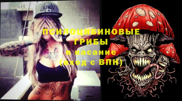 PSILOCYBIN Аркадак